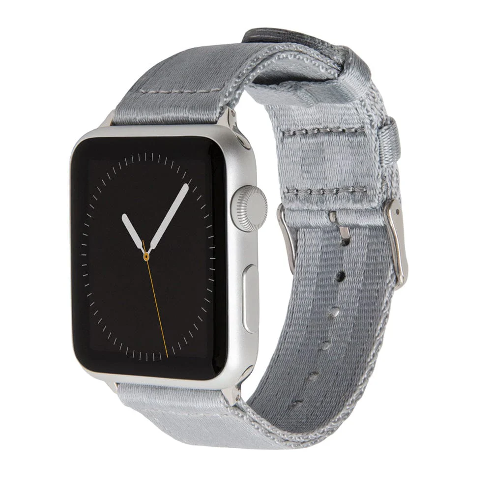 Apple Watch Seat Belt Nylon Watch Band - Gray/Stainless